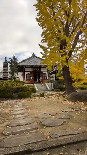 単伝庵(京都府)