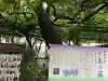 國領神社(東京都)