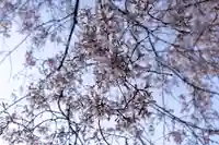 賀茂御祖神社(下鴨神社)(京都府)