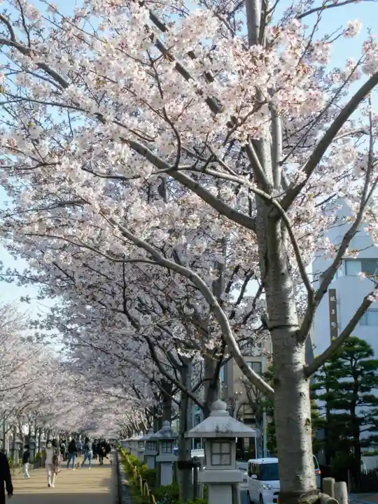 鶴岡八幡宮の景色