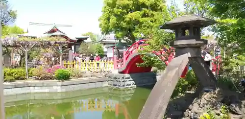 亀戸天神社の庭園