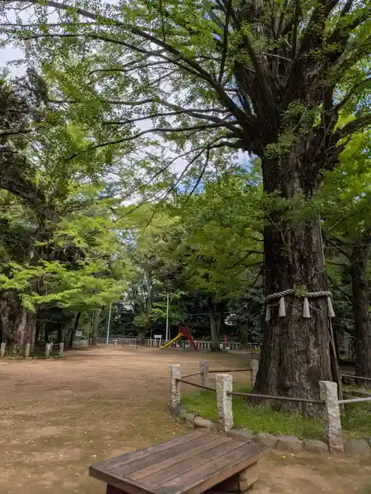 赤坂氷川神社(東京都)