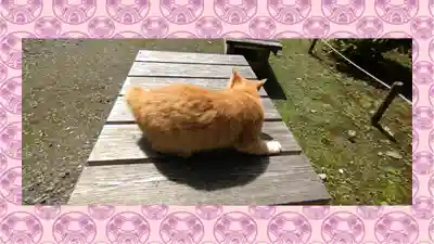 小松寺(千葉県)