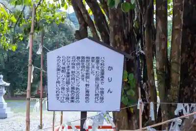 八代神社(熊本県)