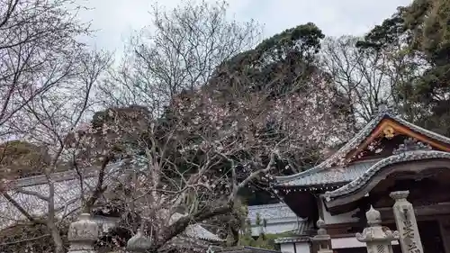 繁多寺の自然