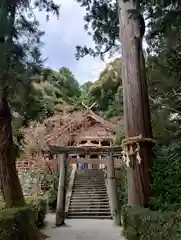 高鴨神社の鳥居