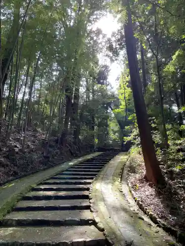 正伝護国禅寺(正伝寺･正傳寺)(京都府)