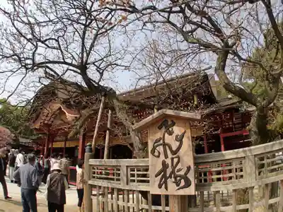 太宰府天満宮の本殿・本堂