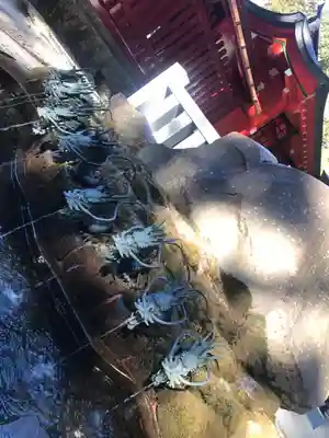 箱根神社の手水舎
