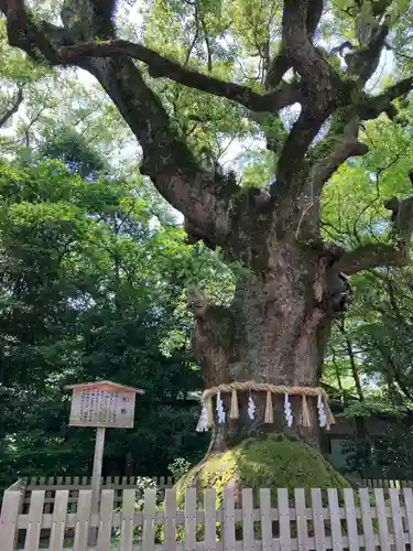 熱田神宮(愛知県)