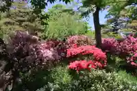 開成山大神宮の庭園