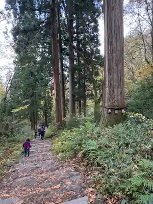 戸隠神社九頭龍社(長野県)