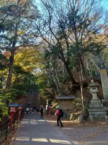 高尾山薬王院の自然