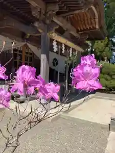 豊景神社の自然(2020年04月16日(木) 05時57分22秒投稿)