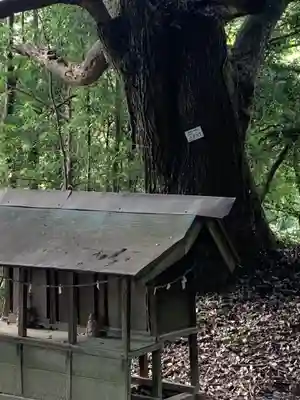 天志良波神社(茨城県)