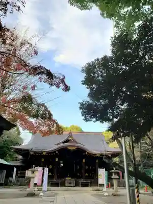 渋谷氷川神社(東京都)