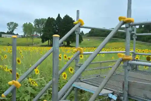 沢山神社（澤山神社)(新潟県)
