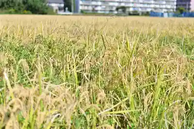 鈴鹿明神社(神奈川県)