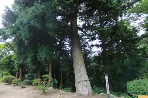 三春大神宮の自然