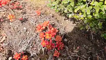 実円寺(静岡県)