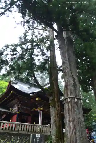 三峯神社(埼玉県)