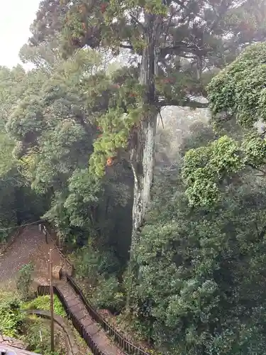 笠森寺(千葉県)