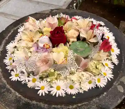 真言宗　善通寺派　薬王寺(香川県)