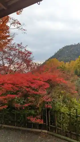 光悦寺(京都府)