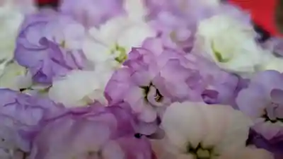 阿邪訶根神社(福島県)