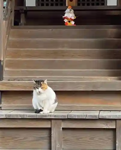 大津神社(大阪府)