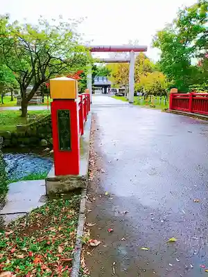 札幌護國神社の鳥居