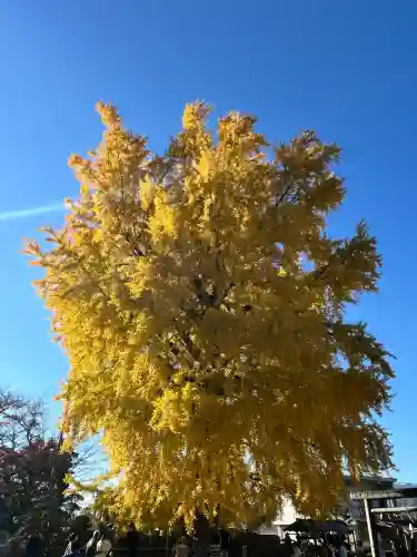 丹生酒殿神社(和歌山県)