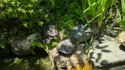 宝蔵寺(京都府)