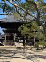 周防国分寺の山門・神門