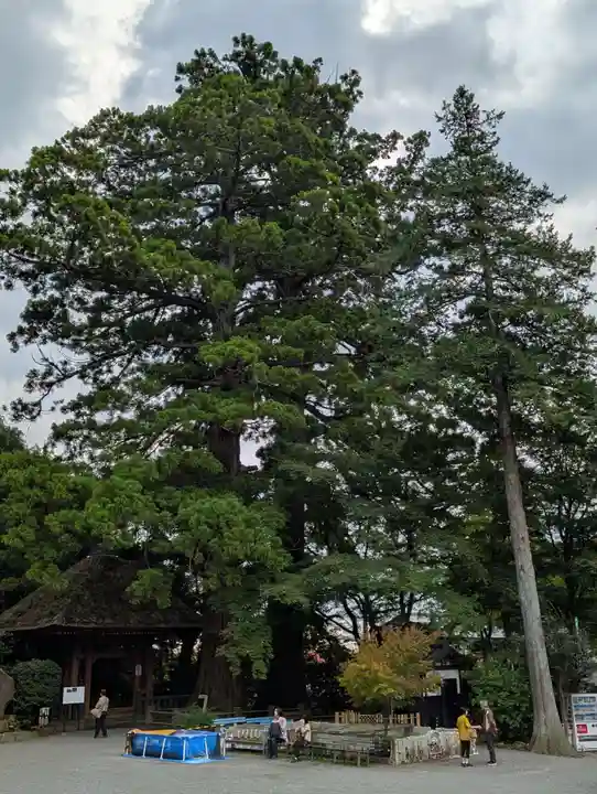宝城坊(神奈川県)