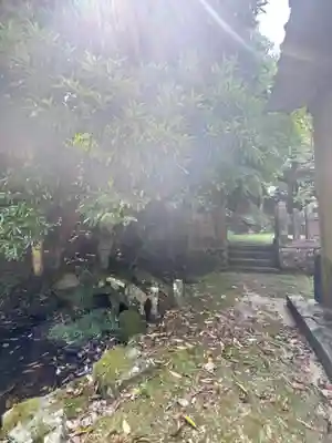 諸杉神社(兵庫県)