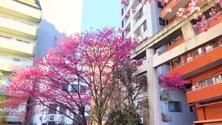蔵前神社(東京都)