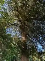 香取神社(千葉県)