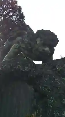 千葉神社の狛犬