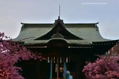 桜神宮(東京都)