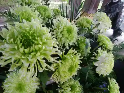 彌彦神社　(伊夜日子神社)の手水舎