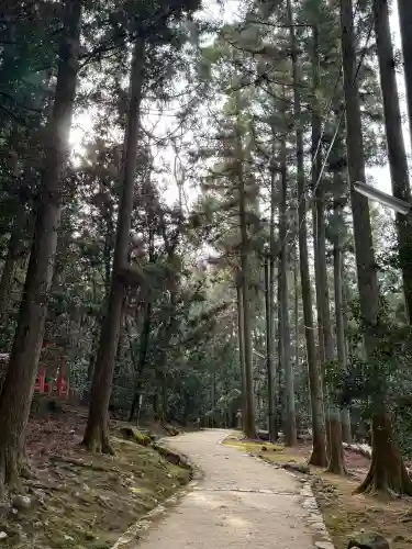 春日大社(奈良県)