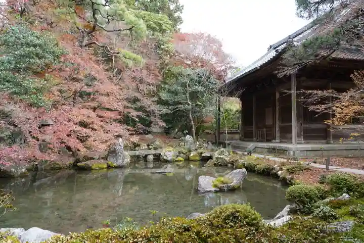 蓮華寺(洛北蓮華寺)の庭園