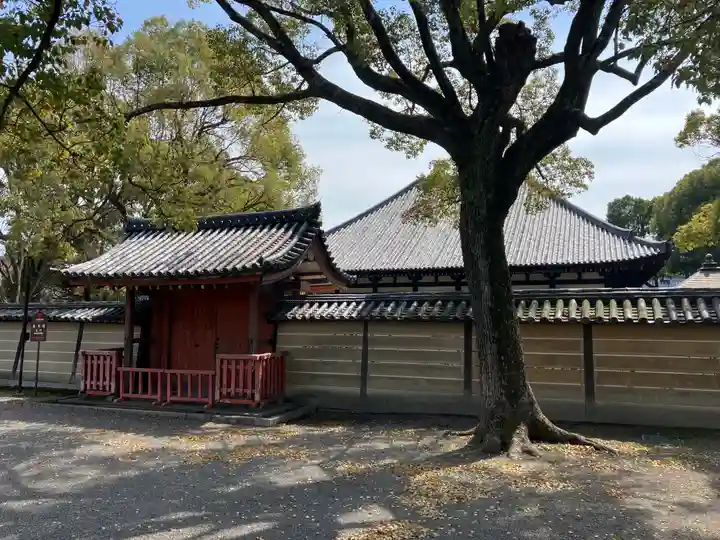 東寺(教王護国寺)(京都府)