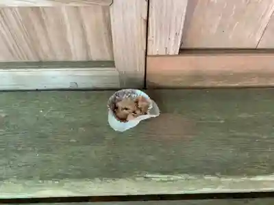 稲荷神社のその他建物