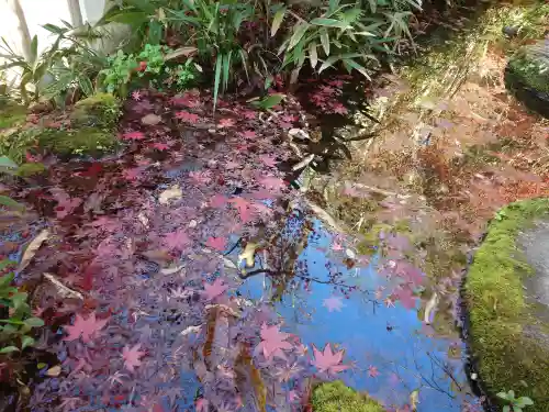 山賊魂稲成神社(山口県)