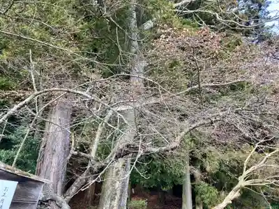 鹿島大神宮(福島県)