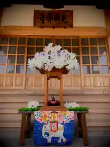 光明寺のお祭り(2021年04月08日(木) 10時33分25秒投稿)