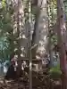 戸隠神社火之御子社(長野県)