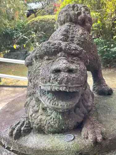 大正寺の狛犬